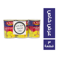ايه ام ار عرض مشروم شرائح 400 جم - 3 قطعة