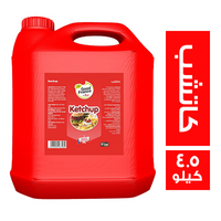 جود فرانس كاتشب - 4.5 كجم