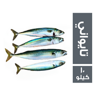 سمك شك تايواني - 10 كجم