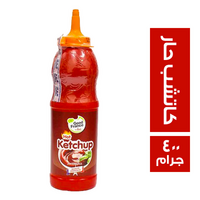 جود فرانس كاتشب حار - 400 جم