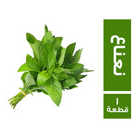 نعناع حزمة - 1 قطعة