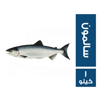 سمك سالمون - 1 كجم