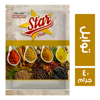 ستار فود توابل اكياس - 40 جم