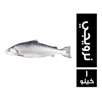 سمك سلمون نرويجي - 1 كجم