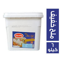 وادينا جبنة ثلاجة ملح خفيف - 6 كجم