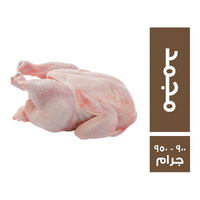 دجاج مجمد وزن من 900 - 950 جم