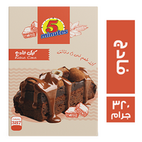 فايف مينتس كيك الفادج - 320 جم
