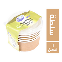ميجو اطباق سلطة 520 اونز - 6 قطع