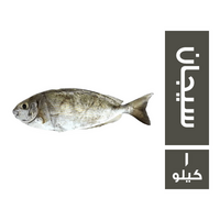 سي فود فاكتوري سمك سيجان فريش - 1 كجم