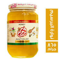 احلى صحة عسل نحل نوارة البرسيم - 865 جم