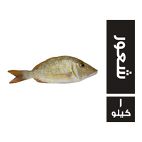 سي فود فاكتوري سمك شعور فريش حر - 1 كجم