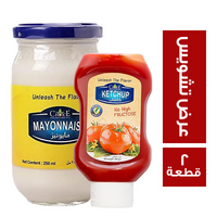 تشويس عرض كاتشب سكويز 500 جم + مايونيز 250 جم
