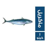 سمك ماكريل - 1 كجم