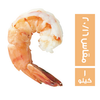 بيسكادو جمبري لارج مقاس (20 -16) - 1 كجم