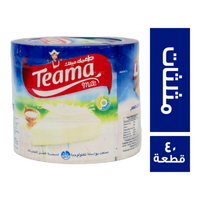 طعمة جبنة مثلثات - 40 قطعة