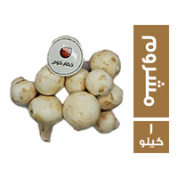 خضار.كوم مشروم سايب - 1 كجم