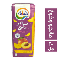 اصلان مشروب مانجو وخوخ - 200 مل