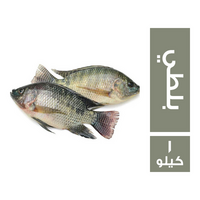 سمك بلطي - 1 كجم