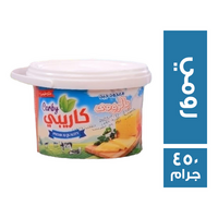 كاريبي معجون جبنة رومي - 450 جم