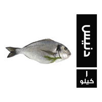 سي فود فاكتوري سمك دنيس فريش حر - 1 كجم