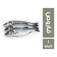 سمك قاروص - 1 كجم