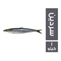 سردين ممتاز - 1 كجم