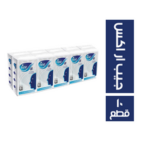 فاين ار اكس مناديل جيب - 10 قطع