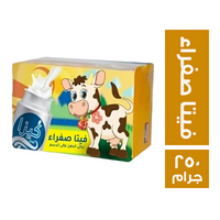 كيزا جبنة فيتا صفراء - 250 جم