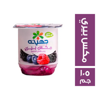جهينه زبادي بقطع مكس بيري - 105جم
