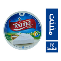 طعمة جبنة مثلثات - 24 قطعة