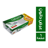 اكتيفيا عرض زبادي طبيعي - 6 قطعة