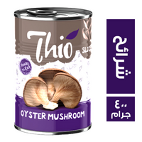 ثيو اويستر مشروم شرائح - 400 جم