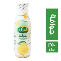 فاميلي عصير مشروب بطعم الجوافة - 250 مل