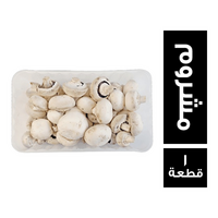 طبق مشروم - 1 قطعة