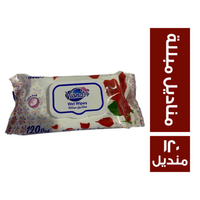 فيونا مناديل مبللة - 120 منديل
