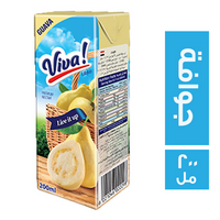 فيفا عصير جوافة - 200 مل
