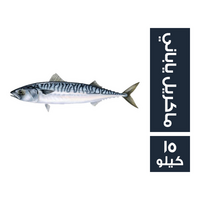 سمك ماكريل ياباني - 15 كجم