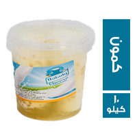 بلدي تشيز جبنة قريش كمون - 10 كجم