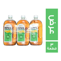 رينول عرض مطهر سائل 750 مل - 3 قطعة