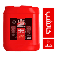 دولميو كاتشب - 10 كجم