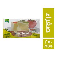 ديري لاند جبنة صفراء - 250 جم