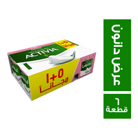 اكتيفيا عرض زبادي لايت - 6 قطعة