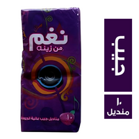 زينه نغم مناديل جيب - 10 منديل