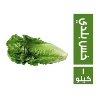 خس بلدي - 1 كجم