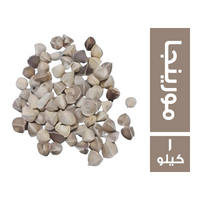 بذر المورينجا - 1 كجم