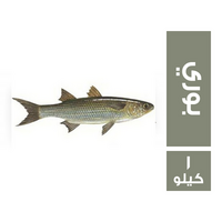 سمك بوري - 1 كجم