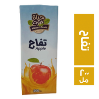 حياة فروت عصير بطعم التفاح - 200 مل