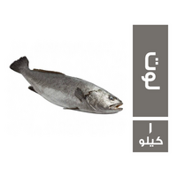 سمك لوت - 1 كجم